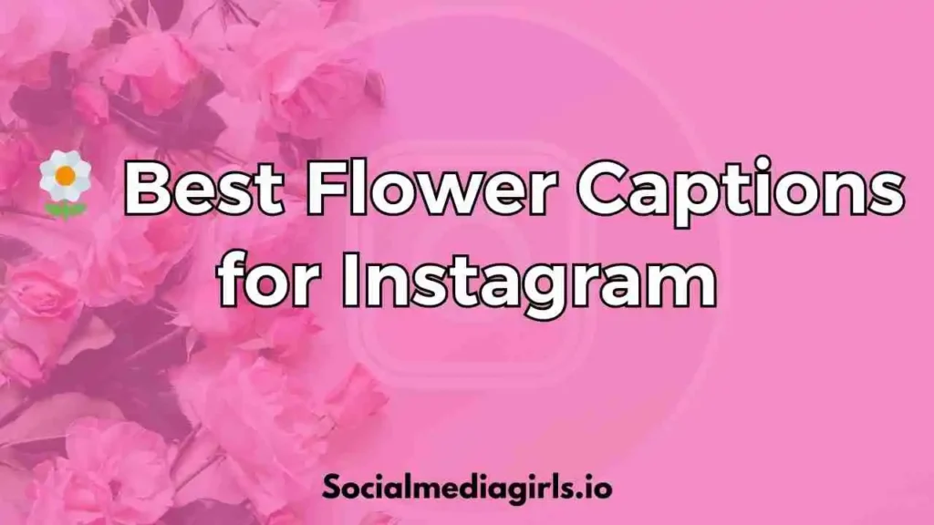500+ Best Flower Captions for Instagram – Funny & Aesthetic 2 🌼 Best Flower Captions for Instagram